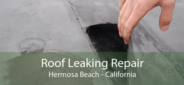 Roof Leaking Repair Hermosa Beach - California