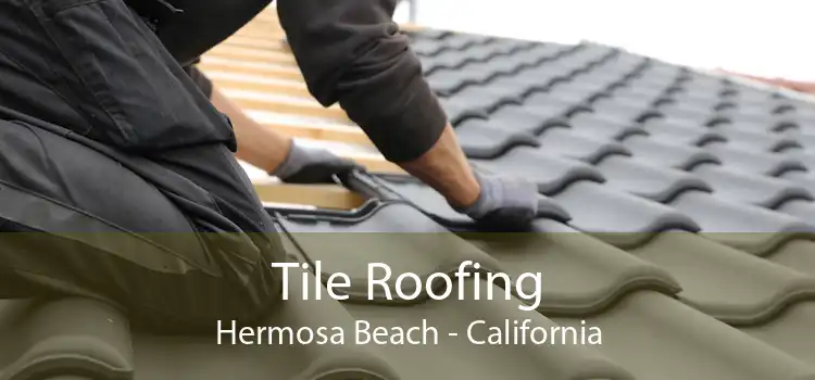 Tile Roofing Hermosa Beach - California