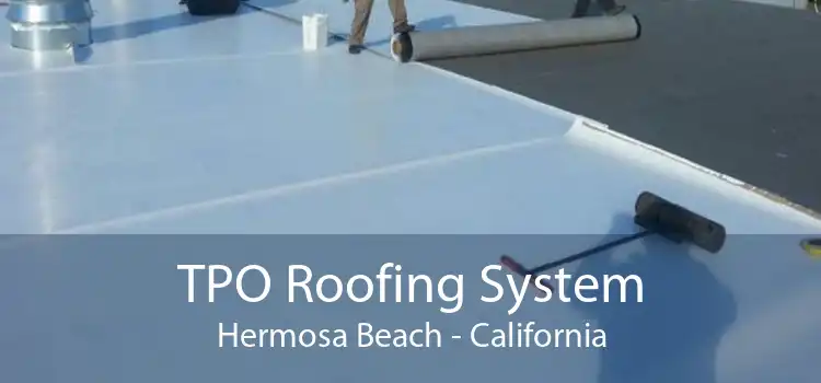 TPO Roofing System Hermosa Beach - California