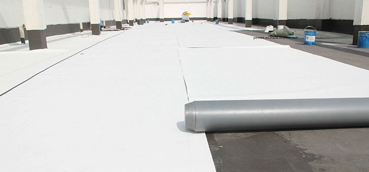 Thermoplastic Polyolefin Roofing Hermosa Beach